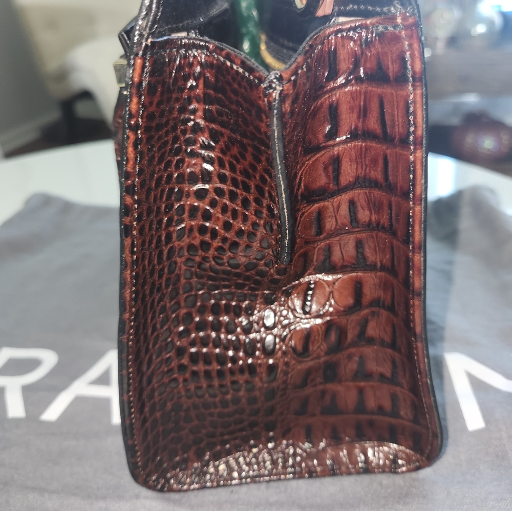 Brahmin - Picture 4 of 7